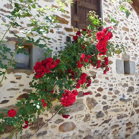 度假居 Maison De Le Ranfort Sousceyrac